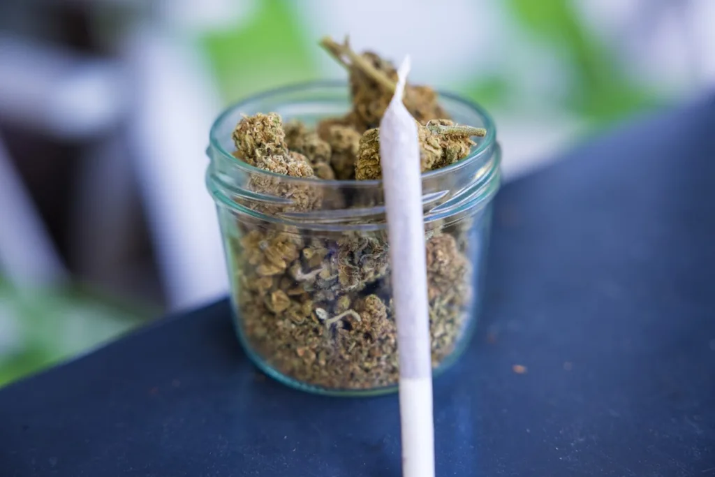 closeup shot of dry marijuana cannabis buds in a j 2023 11 27 05 19 52 utc